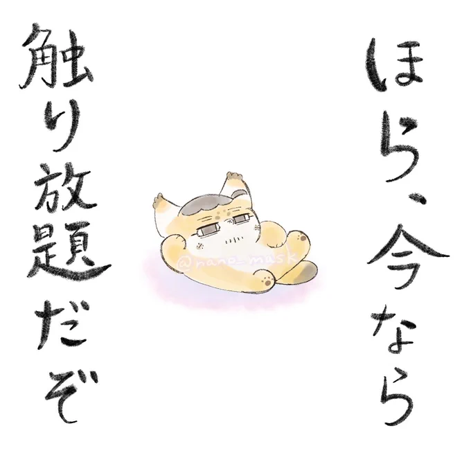 ふぉぜ尾ちゃんからのご褒美だッッ
(再掲) 