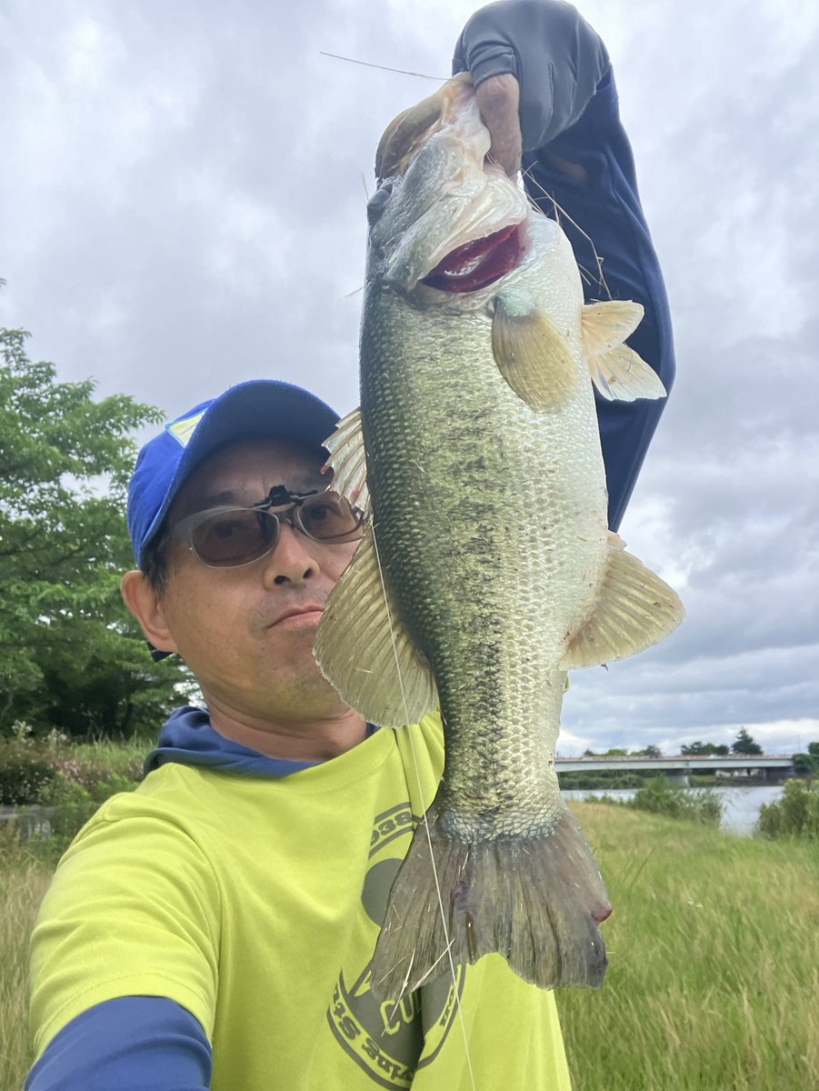 aloha_de_mahalo's tweet photo. #瀬田川のバス釣り 6.22
帰省途中の ＠TexasBankFish1 さんと14時過ぎ別れたあと僕は迷走し、諦めて帰路ついたが西岸瀬田川大橋までの間でデカいバス発見💡
サイコロ不発の後アロハジャークでガッツん！口開け尾閉じで甘々50！！🤭
最後の最後で痺れたぜ💪 https://t.co/tmVu3bxFUc
