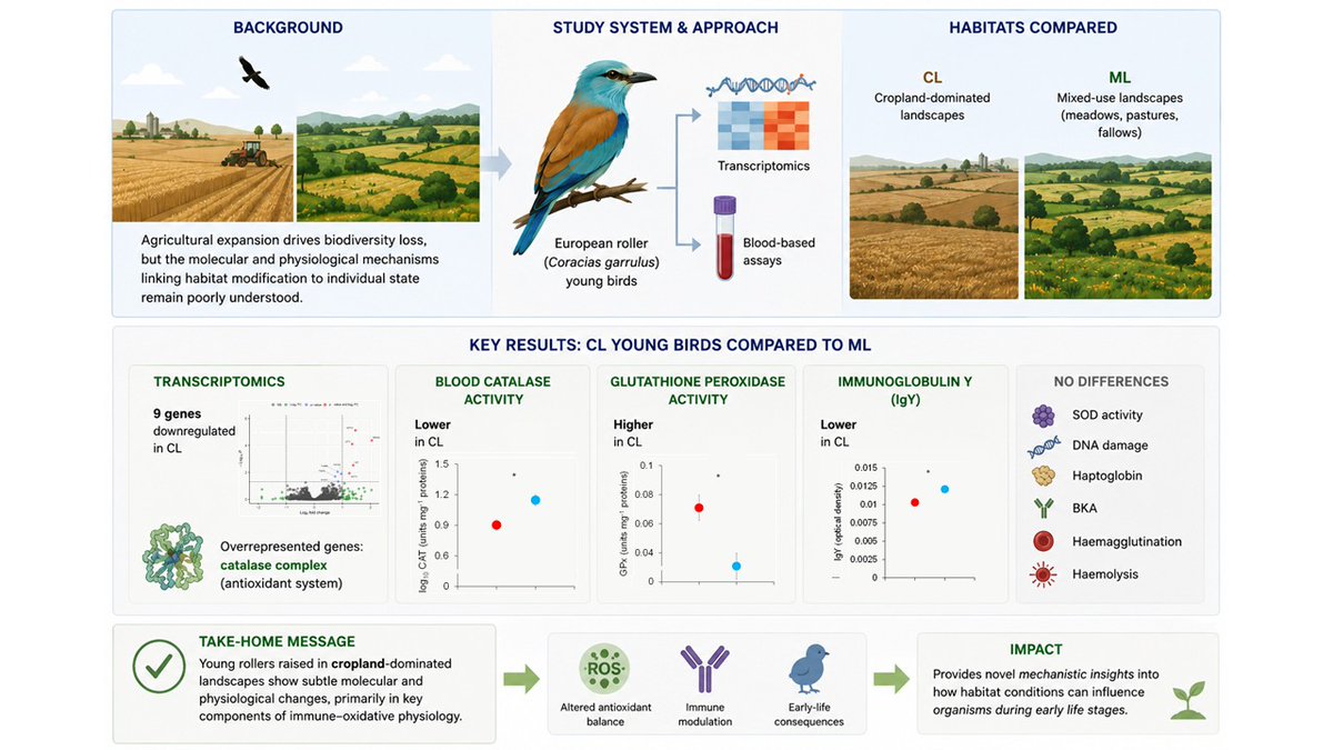 DavidZool's tweet photo. Agricultural landscapes reshape progeny through transcriptomic and physiological changes https://t.co/oFRnAysY99 https://t.co/7JBAExHJ5S