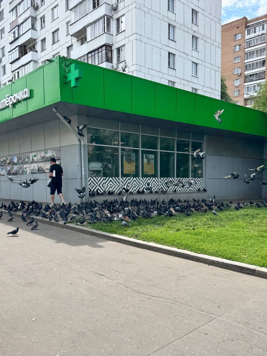 ягуарушкина tweet media