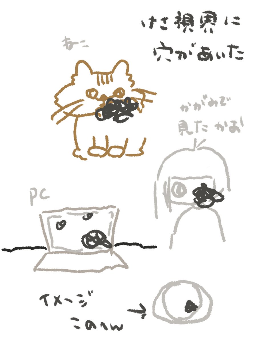 _usawitch_'s tweet photo. 仰天ニュースで見たことあるかも https://t.co/zLS9FIuGr0