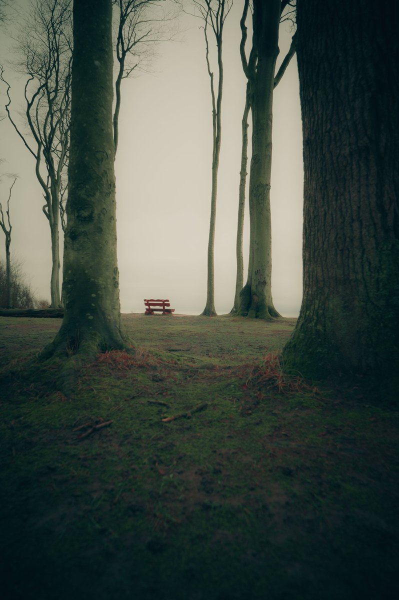 earthcurated's tweet photo. The easiest mental health hack on Earth is 100% free: It’s called "Grounding" (or Forest Bathing).
Just 20 minutes of sitting in nature without your phone lowers cortisol levels, reduces blood pressure, and resets your focus.

Disconnect from the digital world today and reconnect with the real one. Your brain will thank you. 🔋