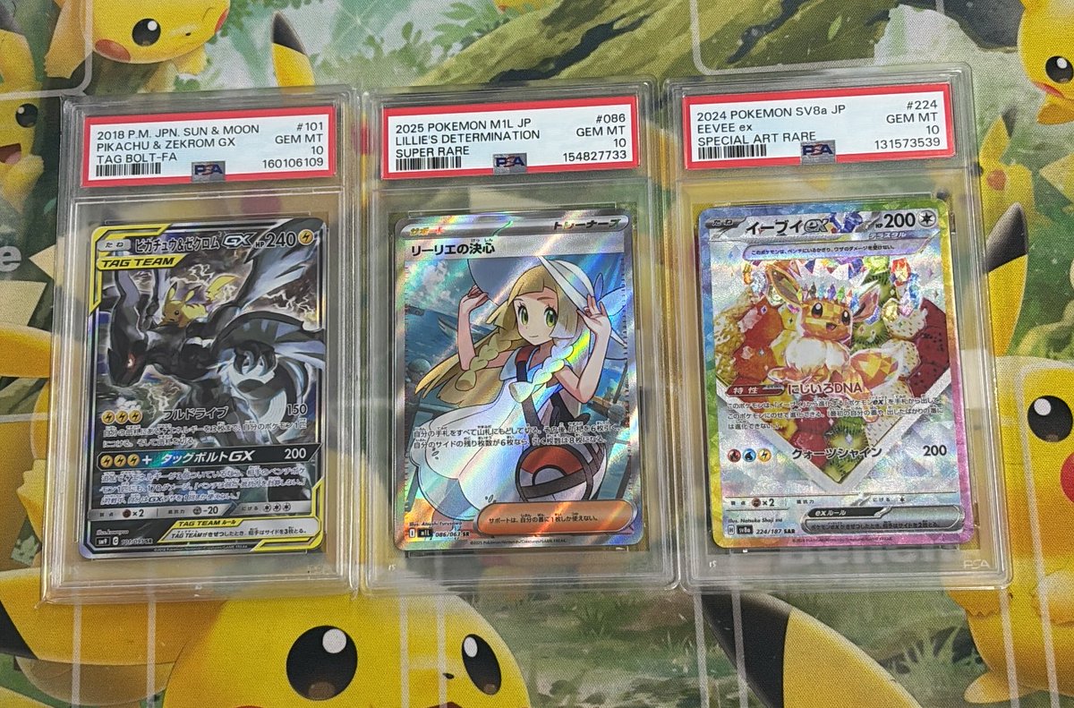 ?️PSA10入荷情報?️ ピカチュウ&ゼクロムex 101/095 リーリエの決心 