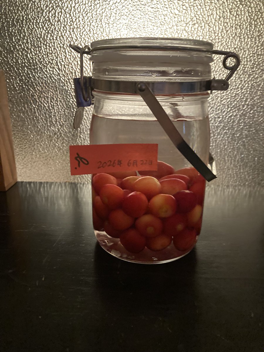 soldemare73's tweet photo. さくらんぼ酒仕込みました。楽しみー🍒 https://t.co/ssEd521Zjm