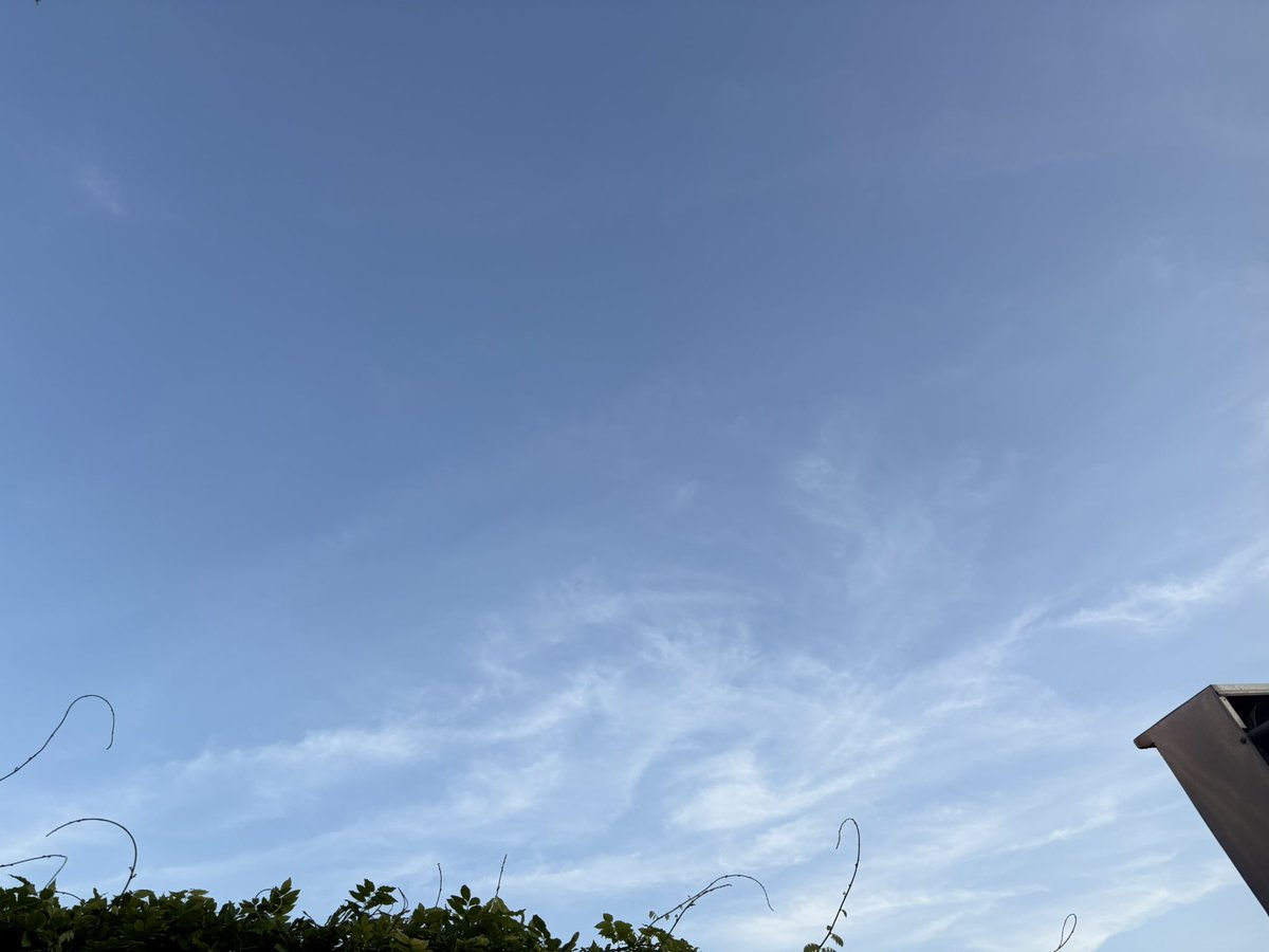 SaskiaHeijden's tweet photo. Zucht 😮‍💨 
Nog maar een keer.

Dit is GEEN sluierbewolking.
Dit zijn GEEN Cirruswolken.

Dit zijn aerosolen injecties van vliegtuigen.
Deze zijn licht doorlatend en absorberen warmte waardoor de temperatuur kunstmatig doorstijgt tot laat in de namiddag.

Klimaat oplichting dus! https://t.co/u5oTPjkTtG