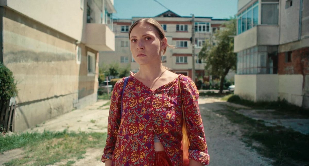 GVAcultura's tweet photo. 🎬 Cinema Jove projecta 'On Our Own', de Tudor Cristian, i 'Barbie', de Greta Gerwig

📚 Presentació llibre de la sèrie 'La Ruta'

🎥🕢 'On Our Own' a la Filmoteca Valenciana 19.30 h, 'Barbie' al CCCC a les 22.30 h

🎟️ Web de Cinema Jove

https://t.co/CQvoTqdo30

@GVAivc https://t.co/p5DX7Y6egK