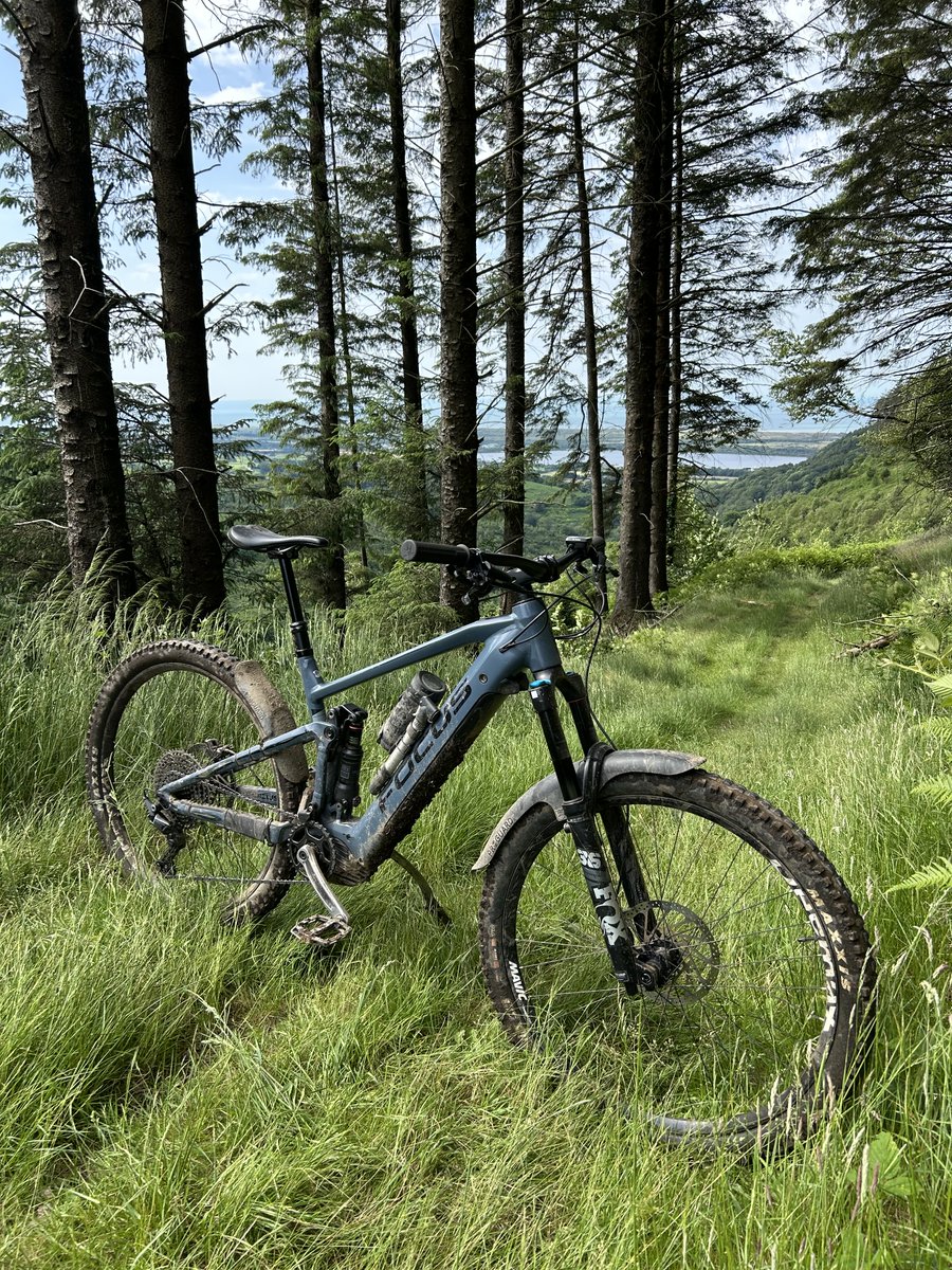 mphillips24413's tweet photo. A den built in the woods. Druggies maybe…! @Absolutemtb1 @UKMTB_Chat https://t.co/e8UgDtoo14