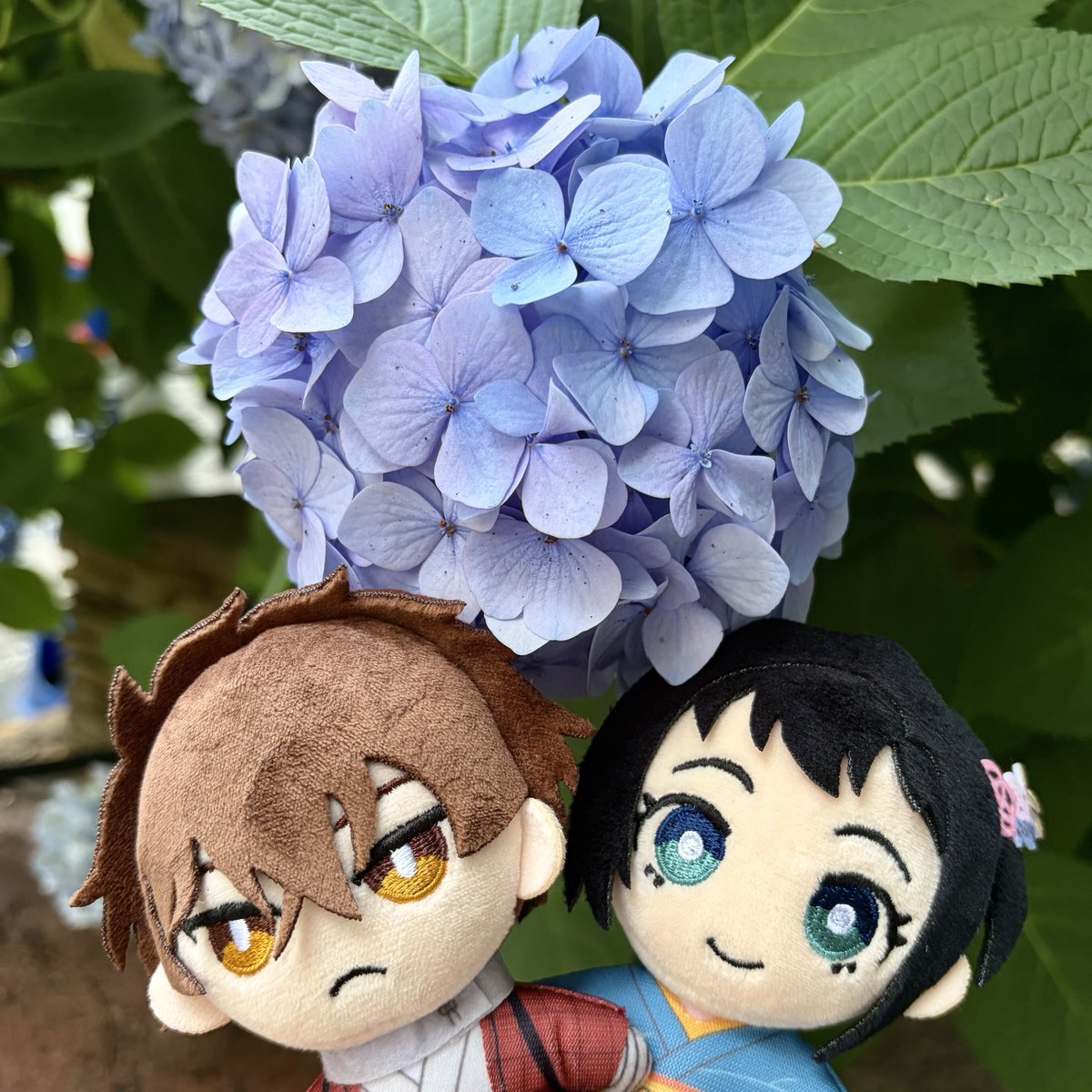 denkimokuroku's tweet photo. 梅雨☔🐌

#二十世紀電氣目録
#ユーレカエヴリカ
7月5日TV放送＆配信をお楽しみに💡 https://t.co/DChbb7upBc