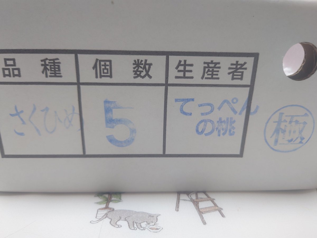 TDR_ST4's tweet photo. こっとしも〜てっぺんの〜き〜せ〜つ〜が〜♪やってきたぁぁぁぁぁい🍑 https://t.co/Px1M4fR7Oo