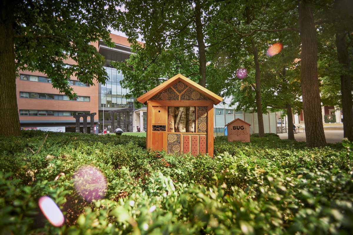 Brindleyplace's tweet photo. Just like bird boxes, bug hotels benefit from occasional maintenance and last week our luxury habitats for visiting creatures had a little tlc!

Cleaning and replacing old nesting materials helps reduce disease, improve nesting success, and provide healthier homes for solitary bees and other beneficial insects.

#brindleyplace #brindleyplacebirmingham