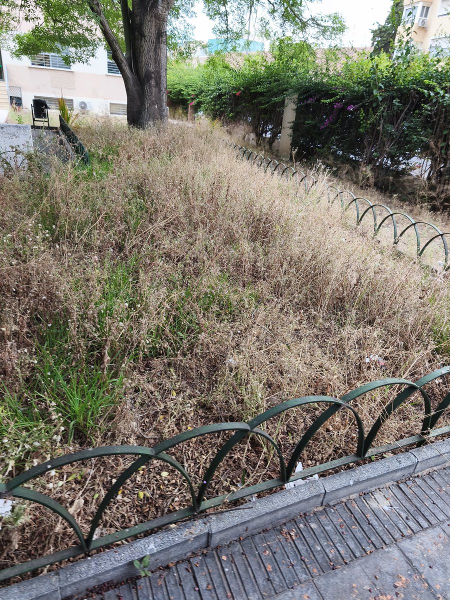 pablo_llera's tweet photo. @CruzRojaEsp @CREMalaga Todo a peor ,vais a tomar alguna medida? https://t.co/9kBGuqapBe
