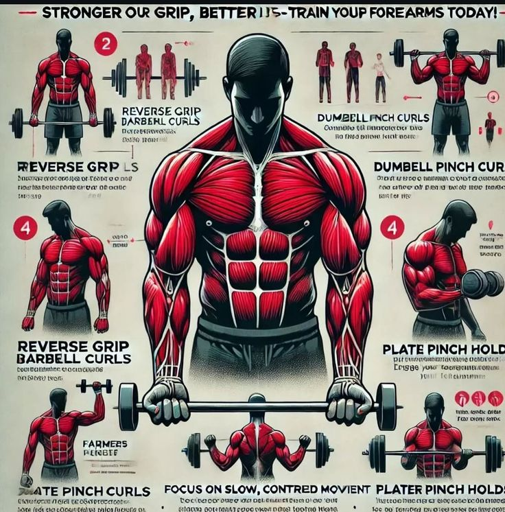 Gym__Hub's tweet photo. TRAIN YOUP FOREARMS TODAY https://t.co/QMDS3WmbIY