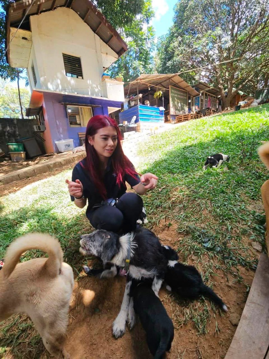 Pawssion Project tweet media