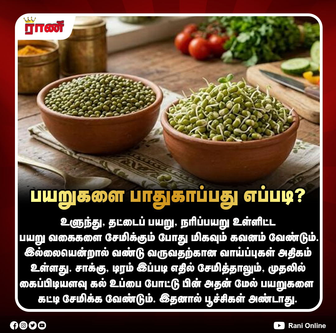 Rani_online's tweet photo. பயறுகளை பாதுகாப்பது எப்படி?
#KitchenTips #StorageTips #PulsesStorage #FoodStorage #HomeTips #HealthyKitchen #NaturalTips #HouseholdTips #TraditionalWisdom #SmartLiving #ranionline https://t.co/uQb9ebpKUP