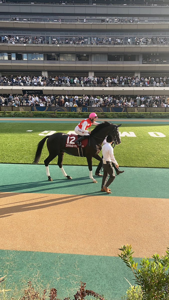 投票迷われている方、ぜひステラヴェローチェに！ 昨日から話題の21