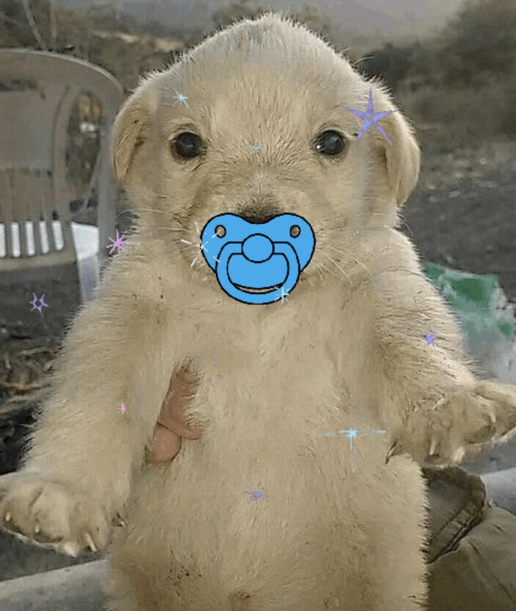 PostBalowne's tweet photo. @KarollinaOk Low cap? Great potential?

Baby Jotchua

8rPf5iNmkQ8Yh1QS9GFCcP8RrWXWvCTpqcxAXHjwtN7f https://t.co/CpTsHmB8wK