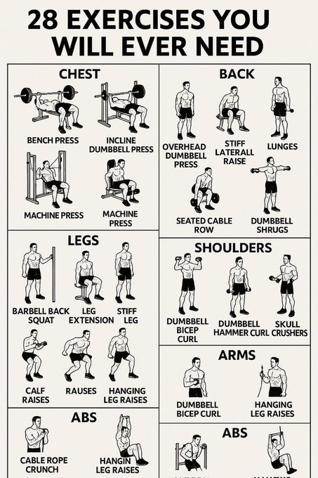 Daily_physique's tweet photo. 28 EXERCISES YOU WILL EVER NEED https://t.co/VRZkDwYr5G