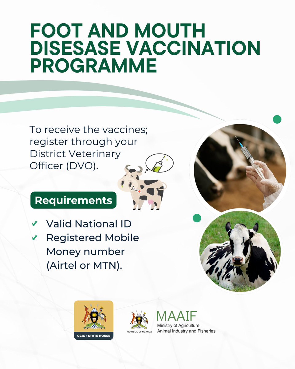 GCICUganda's tweet photo. To receive the FMD vaccines, register through your District Veterinary Officer. #OpenGovUg https://t.co/uzlEcjYhwd