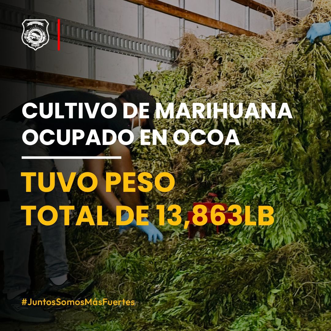 DNCDRD's tweet photo. SIEMBRA DE MARIHUANA EN OCOA TUVO PESO SUPERIOR A LAS 13,000 LIBRAS

Amplía esta noticia en nuestro portal: https://t.co/YVjWXSAleA

#DNCDRD #Positivo #Inacif https://t.co/T0eMiAb3BV