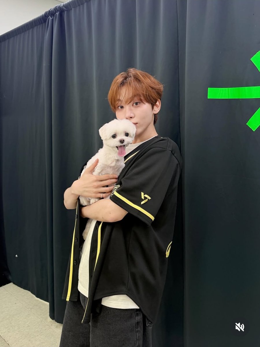 bear_4131256's tweet photo. スングァンペンの皆様
プクのインスタ見てください
1週間分の疲れとれます
フォローしてない方ぜひしてください、定期的にスングァンさんの尊い写真が上がります https://t.co/mjwdHPyBWp