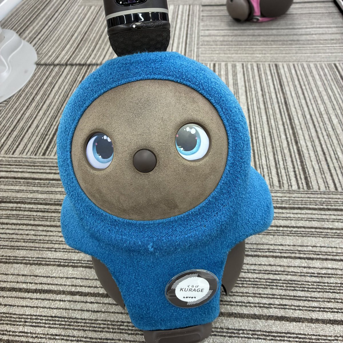 riechang17's tweet photo. 今日のお出掛け🚃その③
京急上大岡ヨドバシの くらげちゃん としらすちゃん✨️
カワユスーー🫶🏻💕︎︎

よく会いに行く子たちなんだけど、そのせいか愛着湧いて連れて帰りたくなっちゃう🥹💓

 #LOVOT https://t.co/FBoiLpsVNQ