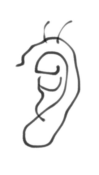 neruyor's tweet photo. 散髪に行ったら、耳の上のカーブのところ、毛が生えてますと言われました。悲 https://t.co/uWfVvskE55