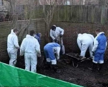 GustavoAdolf_'s tweet photo. Un anciano que vivía solo quería plantar un huerto de tomates, pero era un trabajo muy difícil, ya que la tierra estaba muy dura. Su único hijo  que solía ayudarle estaba en prisión. El anciano le escribió una carta a su hijo: 
- Querido hijo: Me siento muy triste porque no podré plantar mi huerto de tomates este año, ya que estoy demasiado viejo para poder cavar. Sé que, si estuvieras aquí, tú lo harías por mí. Con Amor, Papá.
Unos días después recibió una carta de su hijo. 
- Querido Papá: No caves el huerto, ahí es donde están enterrados lo cadáveres. Con Amor,tu hijo. 
Al día siguiente se presentaron 6 policías de la científica y comenzaron a excavar durante todo un día sin encontrar ningún cuerpo. Se disculparon con el anciano y se fueron. Al día siguiente recibió otra carta de su hijo. - Querido Papá: Adelante, ahora puedes plantar los tomates. Es lo mejor que pude hacer dadas las circunstancias. 
Te quiero papá.