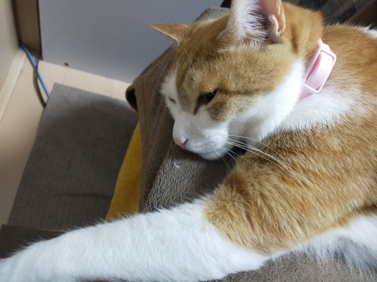 from50_blog's tweet photo. https://t.co/v2Kykr2Lpw

ダルいニャン

#ポイシャ https://t.co/NRJdjDtCsD