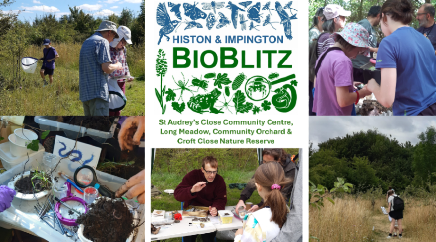 CambridgePPF's tweet photo. 🌿 Welcome to the fourth week of The Cambridge Nature Festival!  🌼 Films, systems, bioblitzes - explore the full programme https://t.co/Ysrxu1Juhi

Pictures: TogetherCulture, H&amp;I Biobliz and brunch, Six Inches of Soil, Litterpick, Girton Nature Recovery https://t.co/oGZZ0kgigH