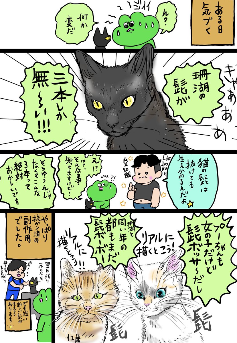 epuron_no_kae's tweet photo. お分かりいただけるだろうか

フェイスライン
シャープになったものです😭
#ねこまんが https://t.co/dF1p1Qi5NW