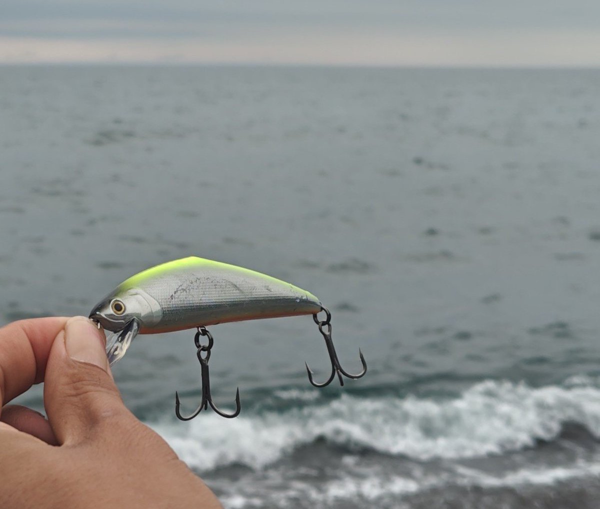 tos_tr_fish's tweet photo. 本当に、ほんとうに久しぶりに釣りに行けた⋯🐟️ヒラメ狙いでとりあえず新品のルアーを投げる。まさかの一投目でズタボロに⋯歯型⋯?
#Hokkaido #Fishing #flatfish https://t.co/dKbeTizw64