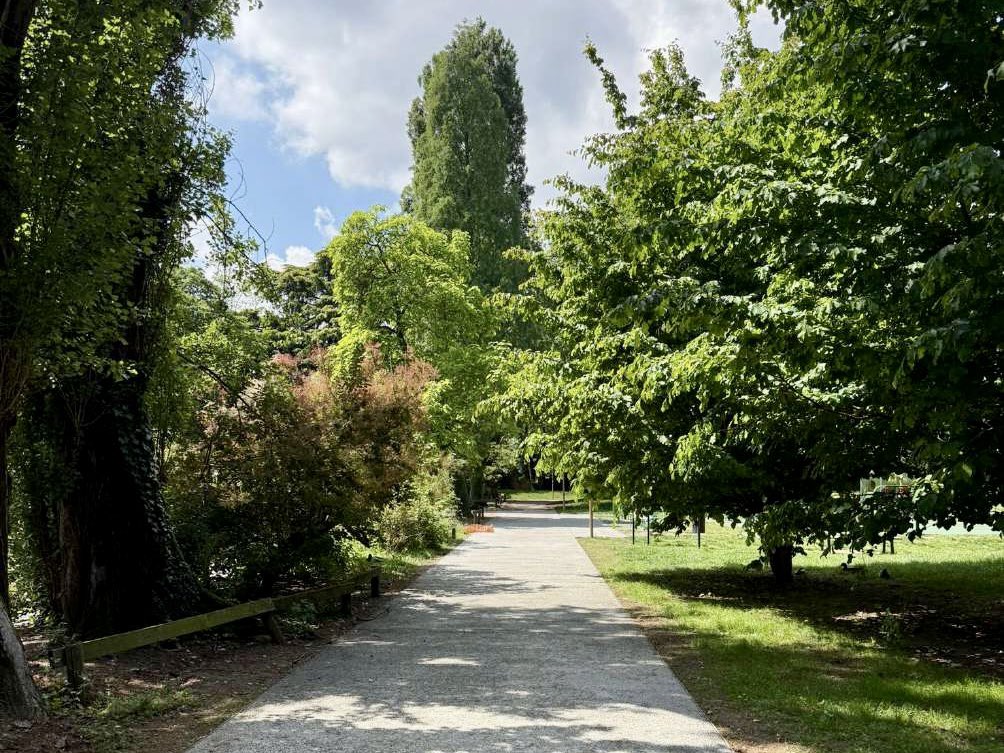 comunevenezia's tweet photo. 🌿 Una #Venezia sempre più verde, resiliente e sostenibile!

🌳 Prosegue l’impegno del Comune di Venezia per l’adattamento ai cambiamenti climatici grazie agli interventi realizzati nell’ambito del Programma sperimentale Green, Blue e Grey, finanziato dal Ministero dell’Ambiente e della Sicurezza Energetica.

🌱 Tra le azioni più significative, l’ampliamento del Bosco di Mestre con oltre 2.000 nuovi alberi e arbusti, la riqualificazione di 27 aree tra parchi e plessi scolastici della terraferma e il recupero dei percorsi ciclopedonali del Parco Piraghetto attraverso soluzioni innovative che migliorano il drenaggio delle acque, riducono l’effetto isola di calore e tutelano il patrimonio arboreo.
