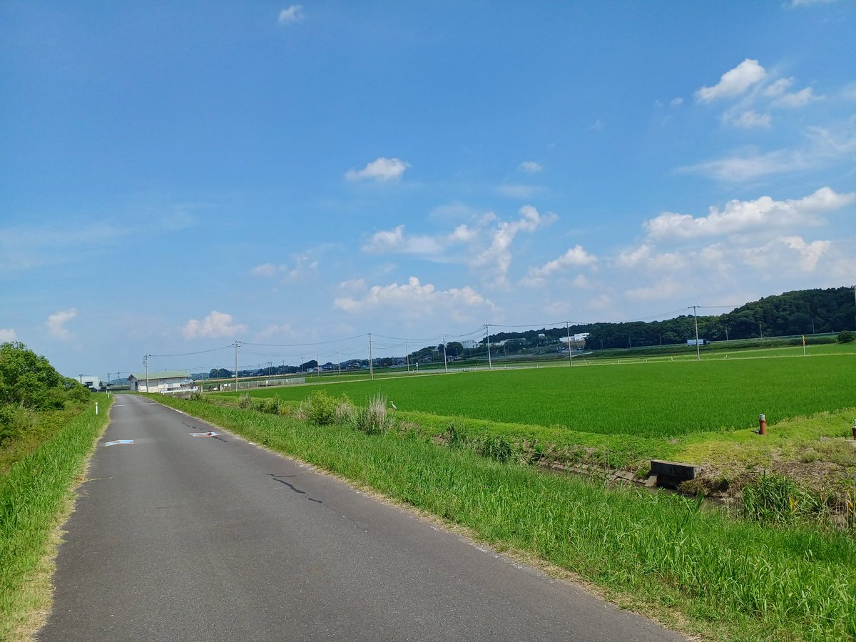 ryu23612935's tweet photo. 今

“今”を感じて生きていますか。
心、ここに在らず。で未来や過去の鎖に
繋がれていませんか。

私達は常に“今”しか生きていら��ない。

今に感謝する事が全てに通ずる道になります。 https://t.co/ROIKPzhHKB