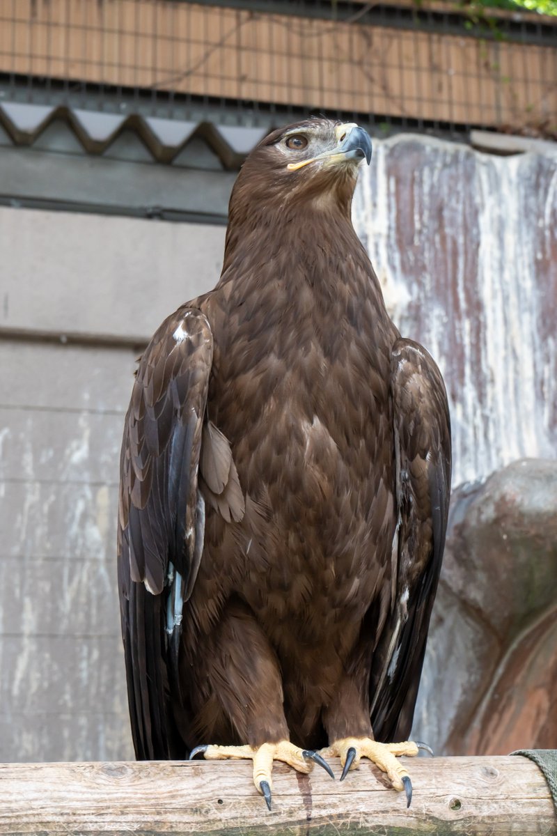 aodr0K's tweet photo. 動物園楽しいわ https://t.co/XbjbDlPXiV