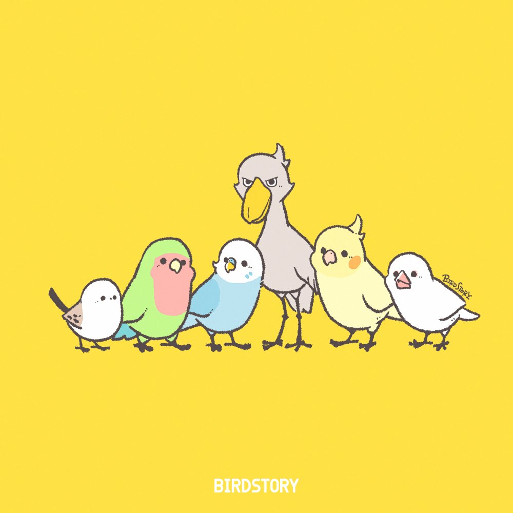 BIRDSTORY夏の福袋🌻 第一期のご予約は、本日まで📢✨ 今年は定番の