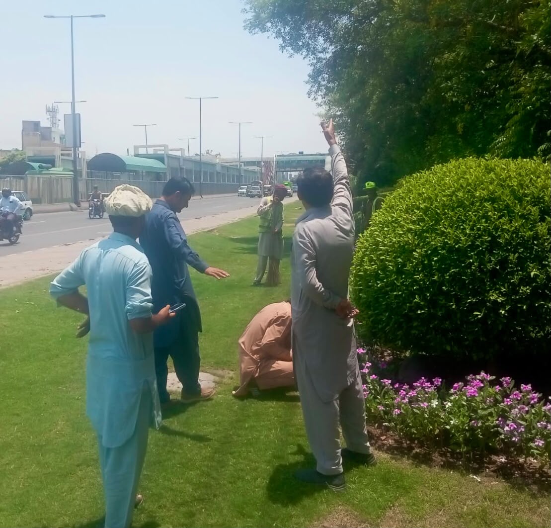 PhaLhr's tweet photo. وزیر اعلی پنجاب محترمہ مریم نواز شریف صاحبہ کے گرین پنجاب ویژن کے تحت  پی ایچ اے لاہور کے ملازمین شہر میں شاہراہوں ، گرین بیلٹ اور پارکوں میں ہارٹی کلچر کا 
کام کررہے ہیں ۔

#lahore #green #horticulture #lahori https://t.co/hldQdl7I73