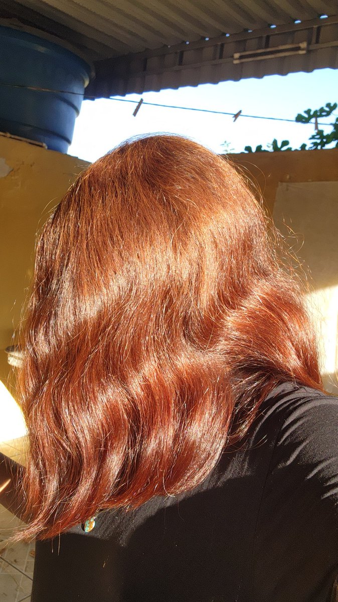 Sucocu's tweet photo. meu cabelo hj mds https://t.co/nVZO3UfLsR