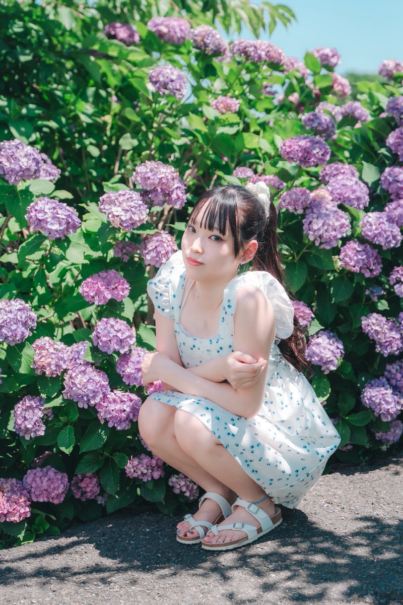 44Aero's tweet photo. 今日、筋肉痛です（笑）
階段が辛い（笑）

#ポートレート
#ななサク撮影会
#紫陽花
#Lumix 
#透明感 https://t.co/NB5J9YSFYU