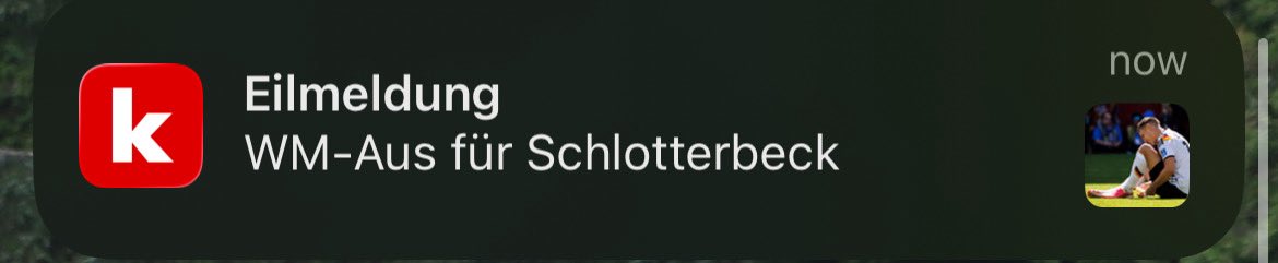 PaoloPromille's tweet photo. natürlich lassen uns die dortmunder wieder im stich bei der wm https://t.co/41oLBkQlwz