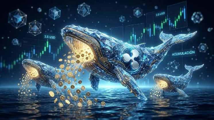 Irina_314's tweet photo. The most interesting thing about the market is this

Retail investors sell when they're fearful

while whales quietly buy

And now, the story of $XRP seems to be repeating itself

Looking back in the future

will you be glad you held it

or regret missing out?

#XRP #XRPArmy #Crypto