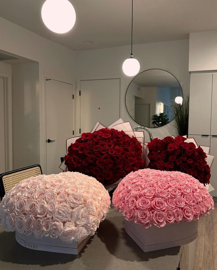 TheBeauty001's tweet photo. https://t.co/oeWSr6618T