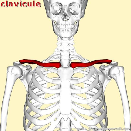 Lamsito_eth's tweet photo. @Clavicular0 Who are you? https://t.co/Ps3EcsXWTh