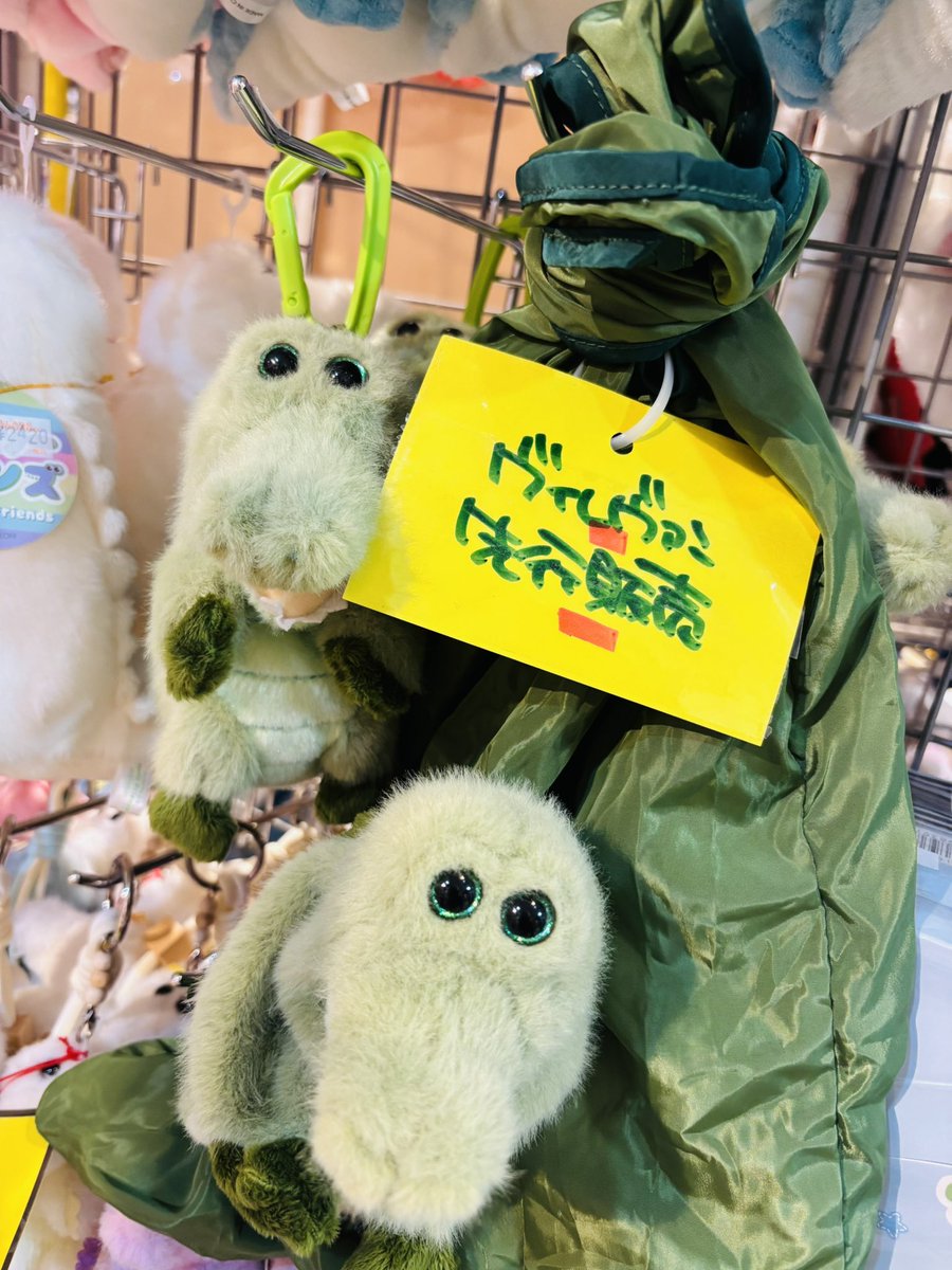 village_AMAKYU's tweet photo. ご好評につき即完売してしまった
#ワーリーフレンズ ベイビーズ
奇跡の再入荷〜ッ🐊🍼🌟
今ならたくさんあります‼️

合わせてエコバッグも入荷‼️

これまた即完売の予感しかないので
お早めのご来店お待ちしてます🐊🎶

#ワーリー 
#ヴィレッジヴァンガード
#ヴィレヴァン
#あまがさきキューズモール https://t.co/VOnXIz4gNN