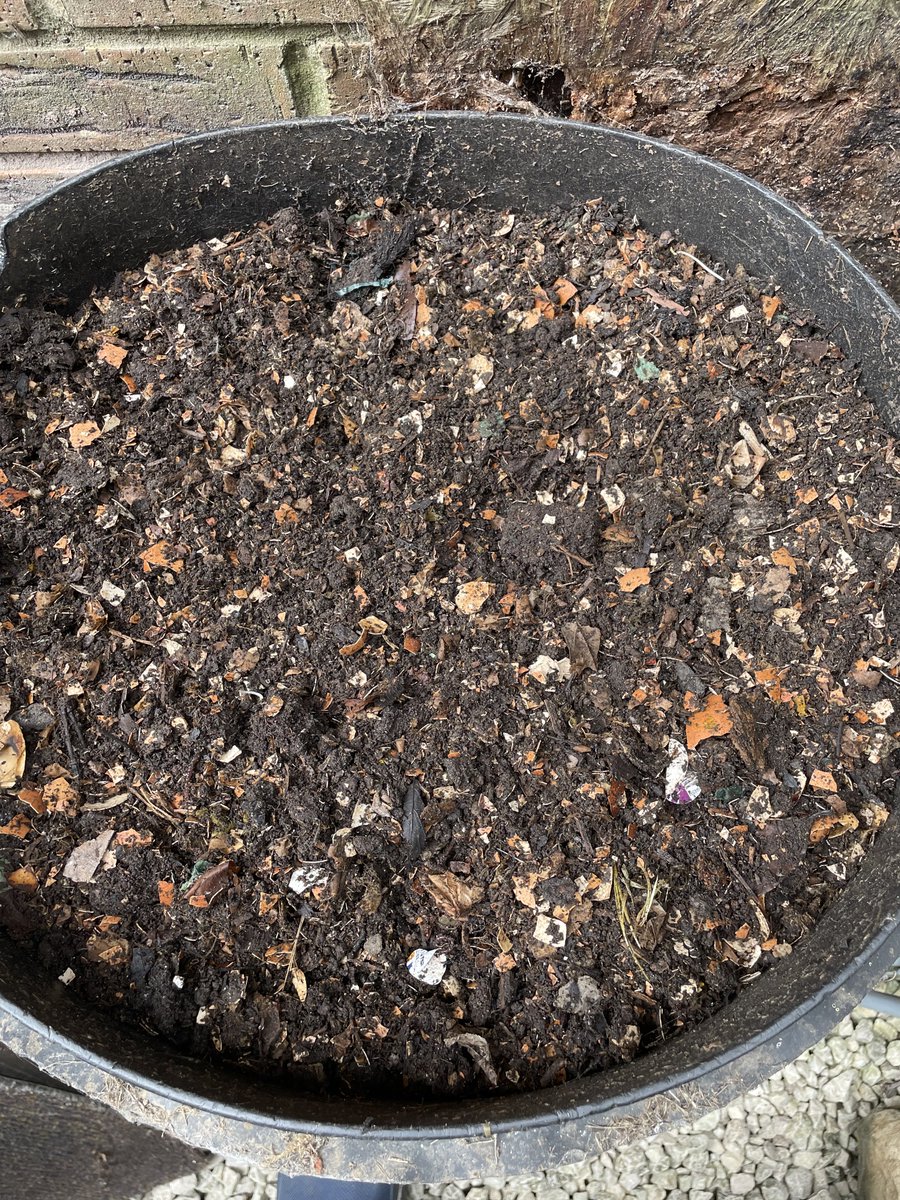 Andy6hutch's tweet photo. HOMEMADE COMPOST!!!…… The beating heart of any Garden… It’s full of essential microorganisms & is relatively straightforward to make….Give it a go & I promise your soil & plants will repay you….. HAPPY DAYS!!!… 😊 #HomemadeCompost #HutchGarden 👨🌾🪴 https://t.co/1YPM0UsCsE