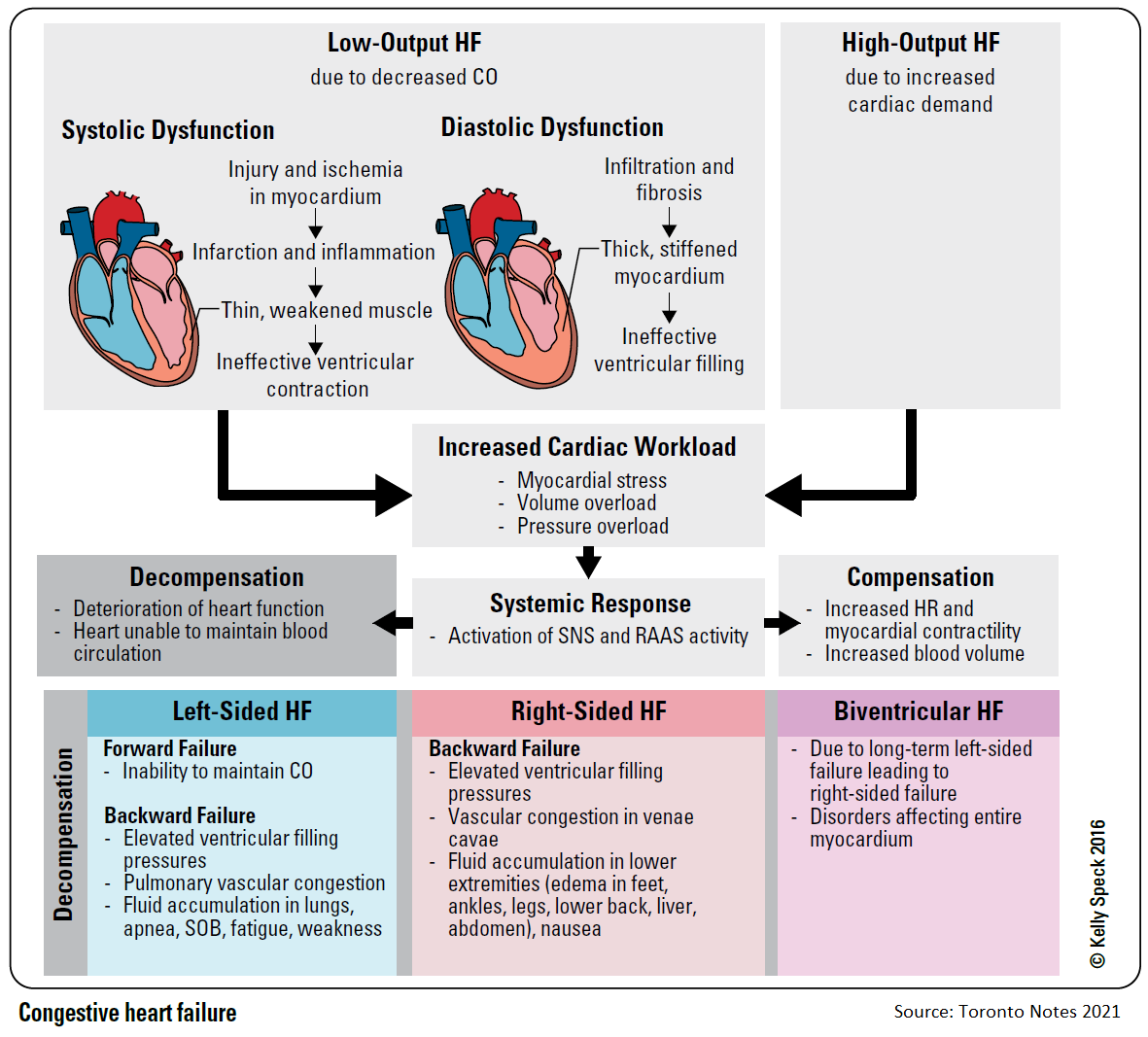 ManualOMedicine's tweet photo. Pathophysiology of Congestive Heart Failure

#medtwitter #foamed #meded https://t.co/T33LEPoStv
