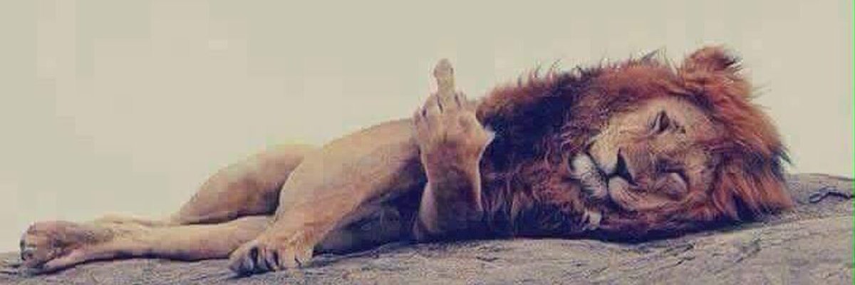 atifgoraya's tweet photo. @bigredmatt1011 https://t.co/JqcdRJgA8e