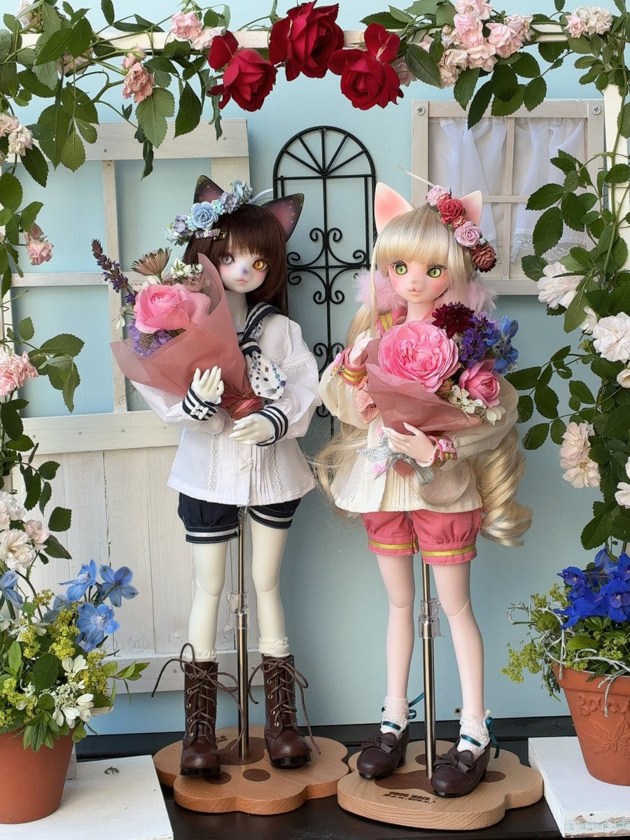 ephyra888's tweet photo. 満開💐
#ハナアイ https://t.co/TZAt7edgDQ