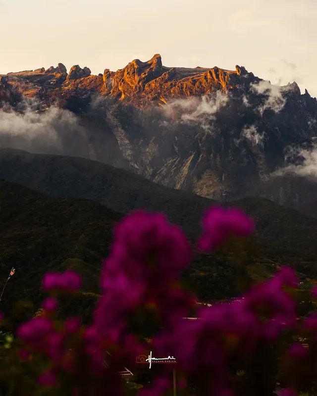 KKCity's tweet photo. Rindu Kundasang 🌬️ 

📍 Sabah, Malaysia

Word &amp; photo by @hazwankamisin

#exploresabah #KKCity https://t.co/w7CAjgMYRq