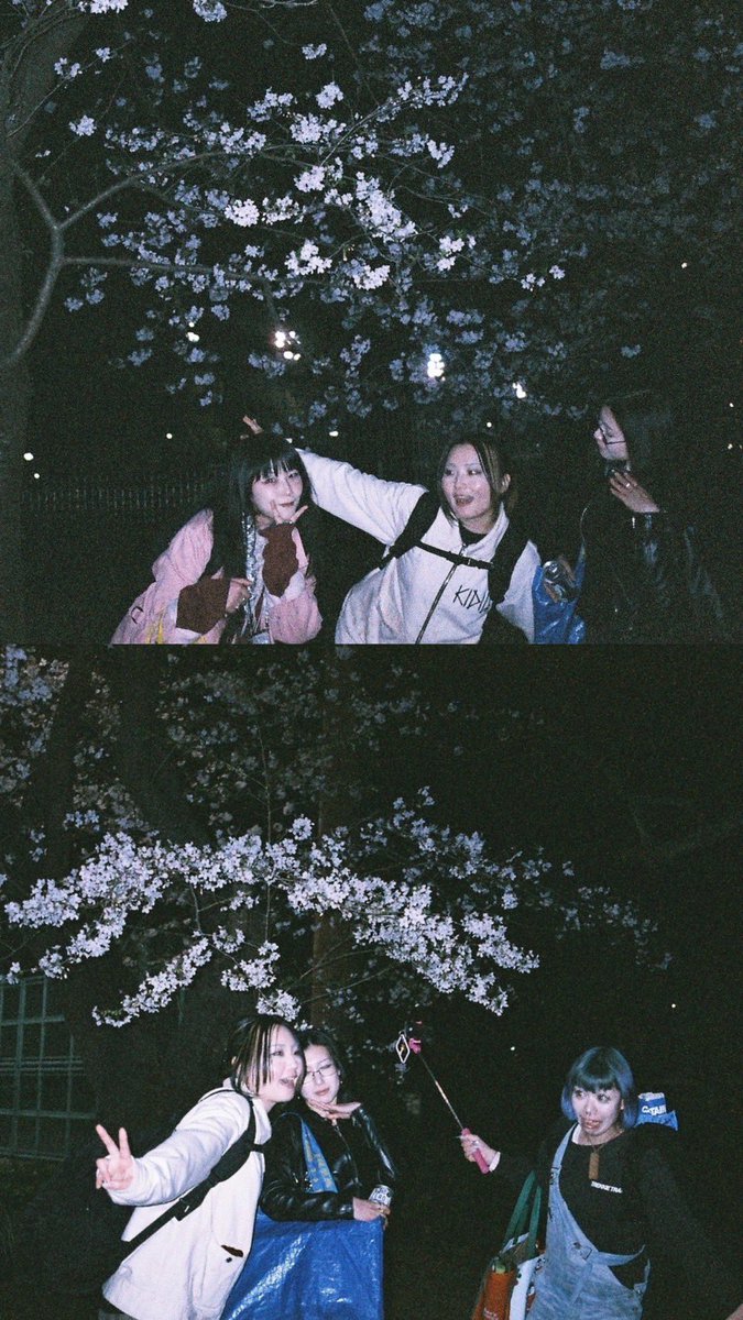amielnemui's tweet photo. 春初夏色々🌸🐎🌳 https://t.co/pPtz3wgph1
