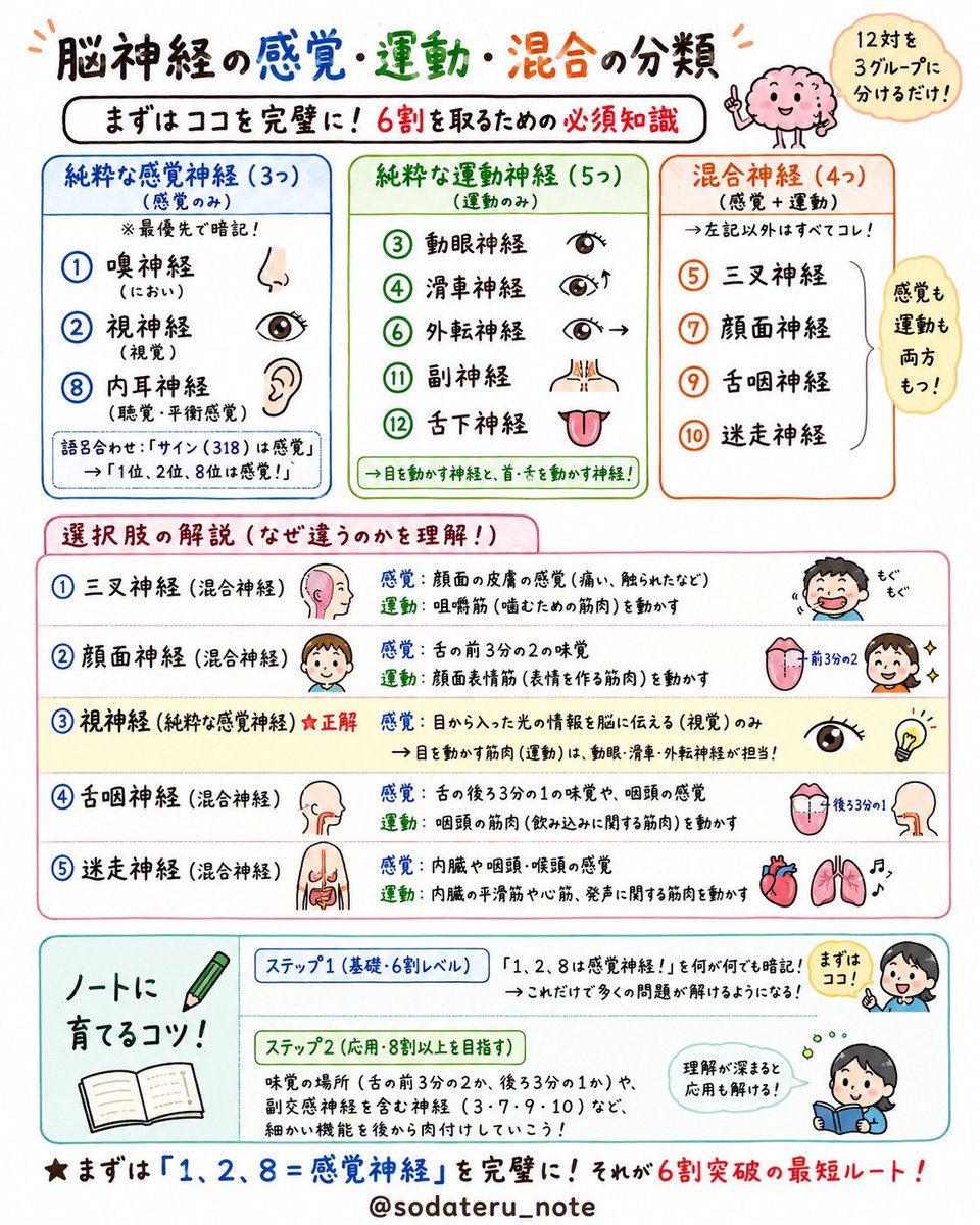 国試対策
